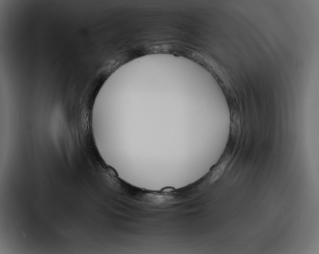 X0000086740477200705111638