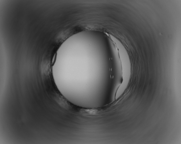 X0000086740478200705111638