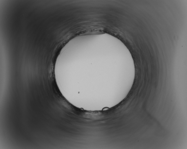 X0000086740480200705111638