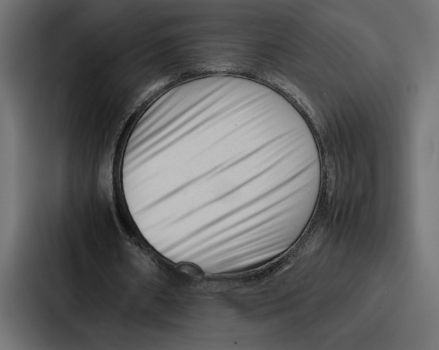 X0000086740482200705111638