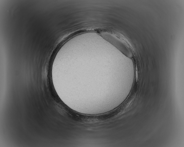 X0000086740483200705111638