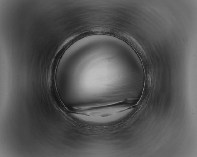 X0000086740484200705111638