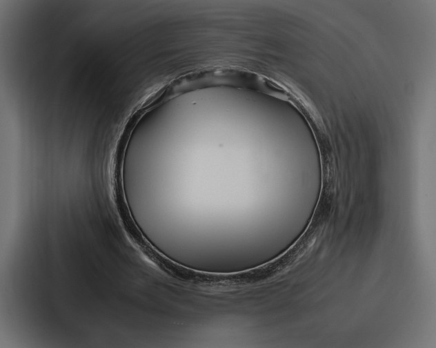 X0000086740485200705111638