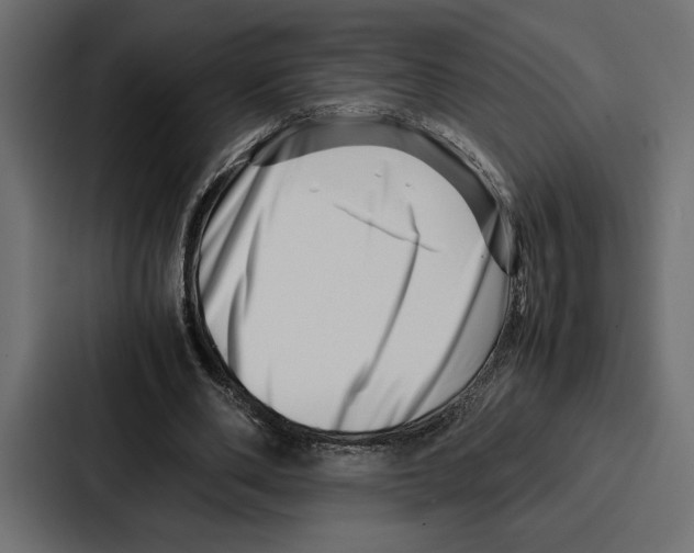 X0000086740486200705111638