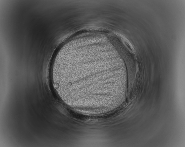 X0000086740487200705111638