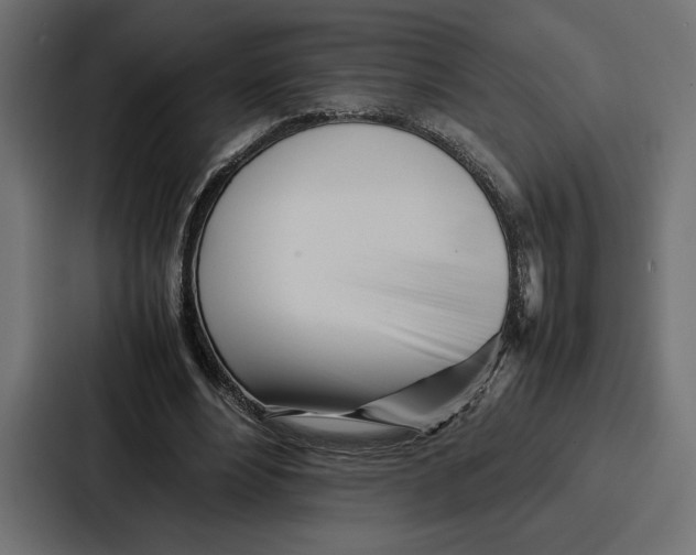 X0000086740488200705111638