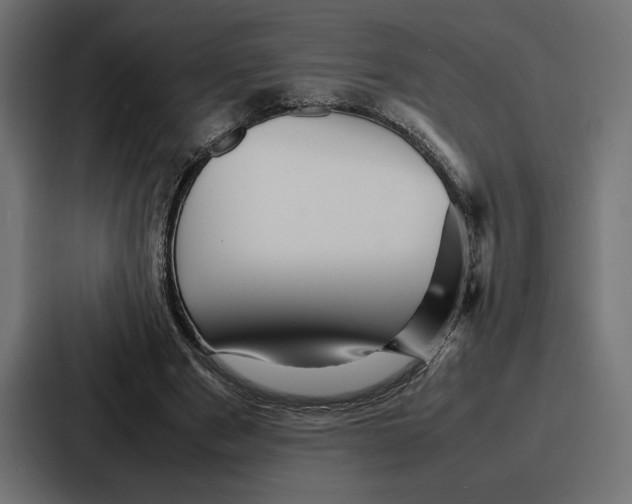 X0000086740489200705111638