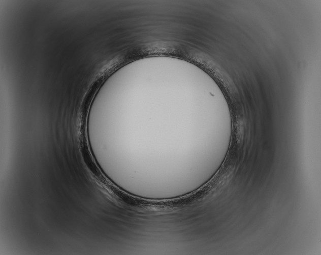 X0000086740490200705111638