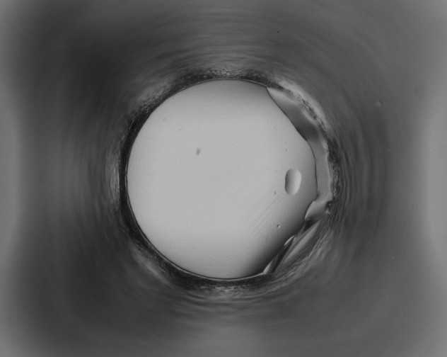 X0000086740493200705111638