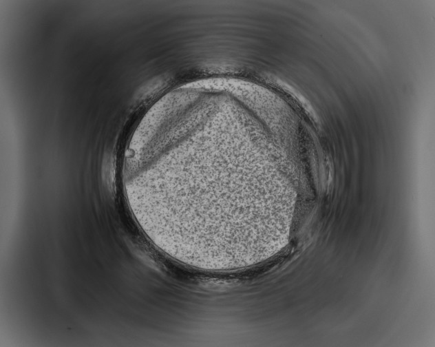 X0000086740494200705111638