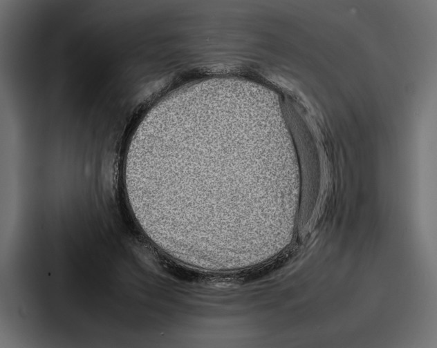 X0000086740495200705111638