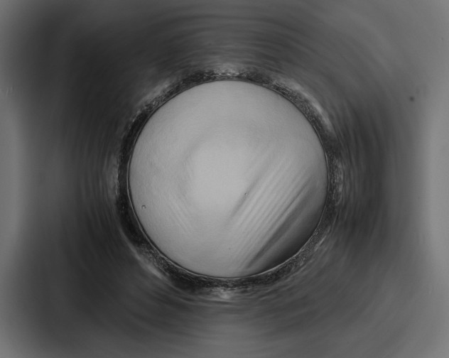 X0000086740496200705111638