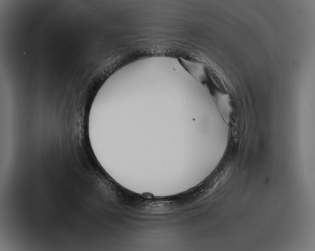 X0000086740497200705111638