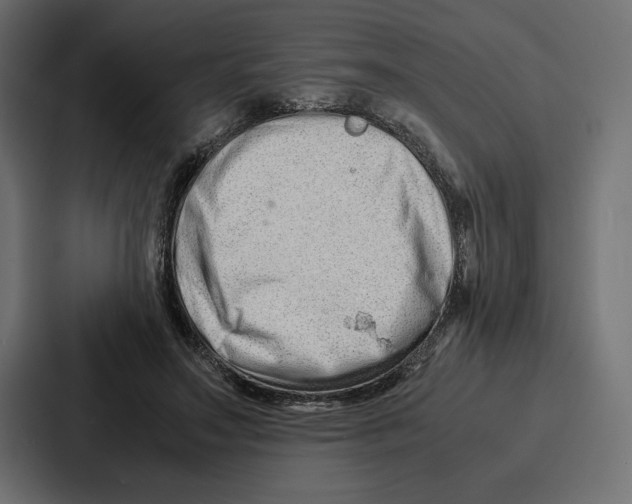 X0000086740499200705111638