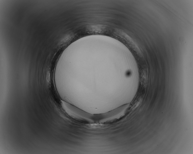 X0000086740500200705111638