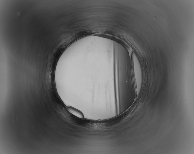 X0000086740501200705111638