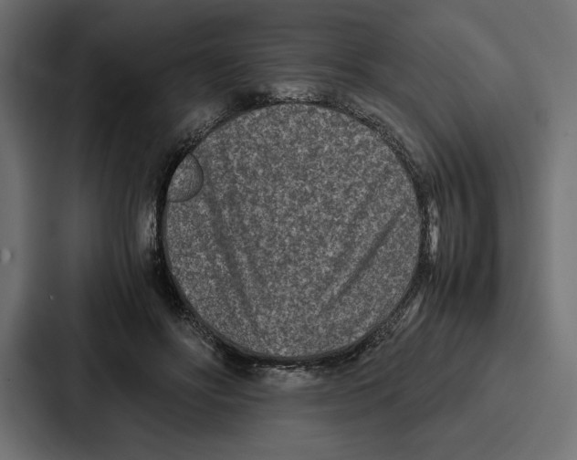 X0000086740502200705111638