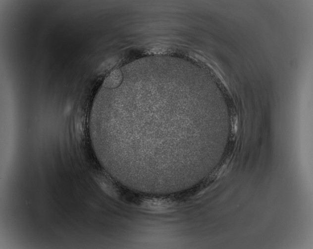 X0000086740503200705111637