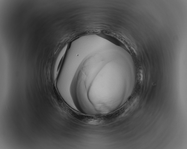 X0000086740504200705111637