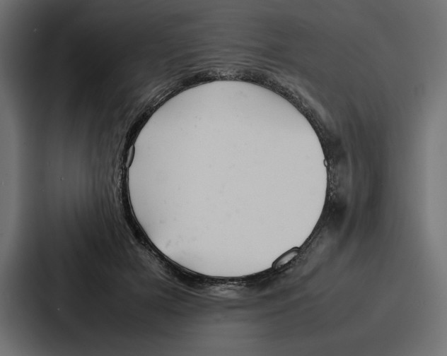 X0000086740505200705111637