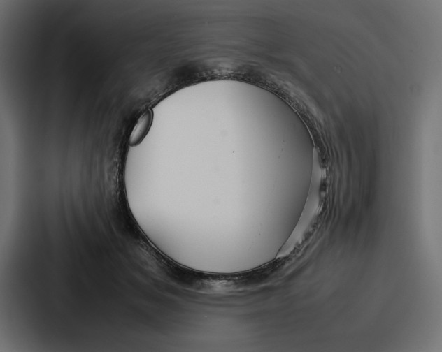 X0000086740509200705111637