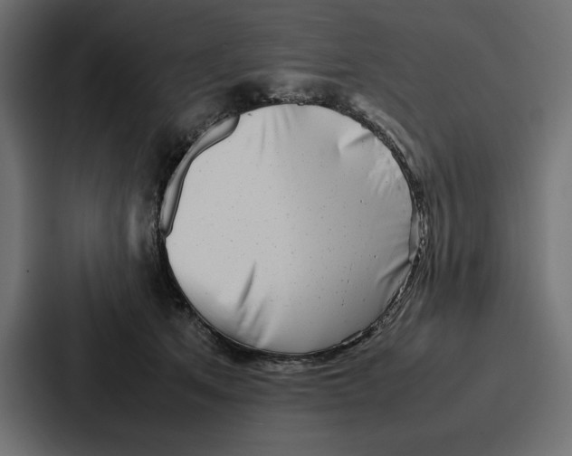 X0000086740513200705111637