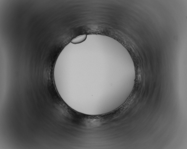X0000086740514200705111637