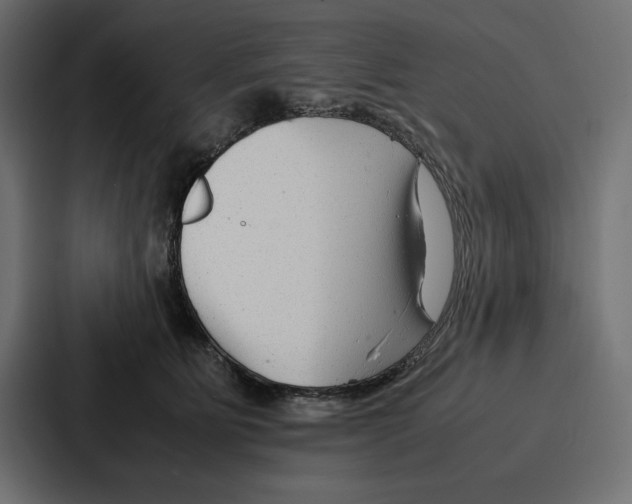 X0000086740515200705111637