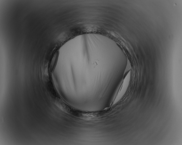 X0000086740516200705111637