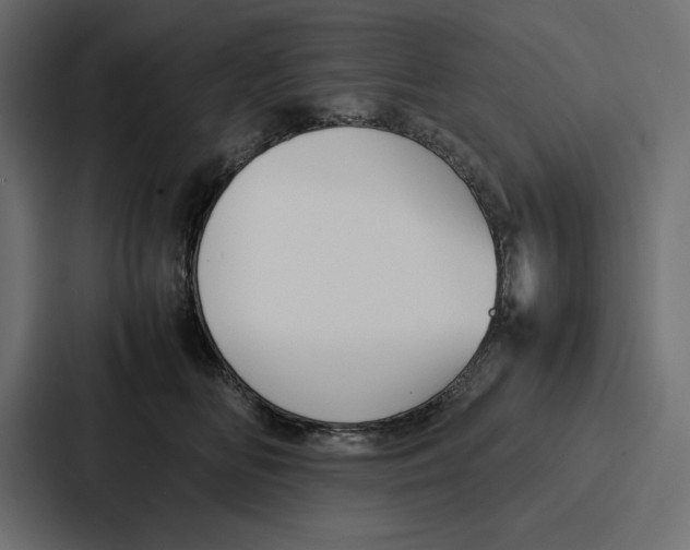 X0000086740518200705111637
