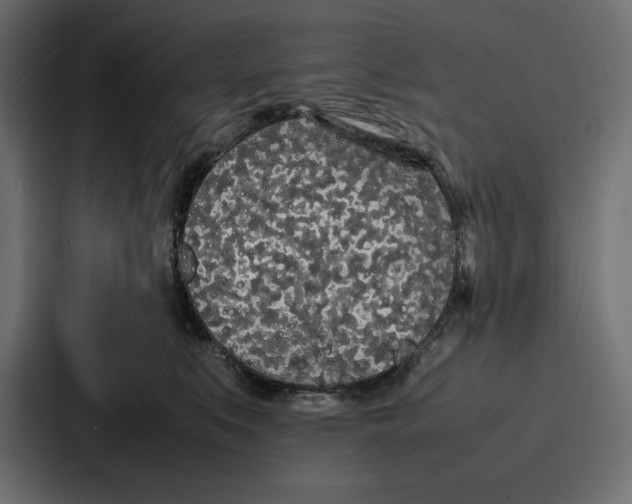 X0000086740519200705111637