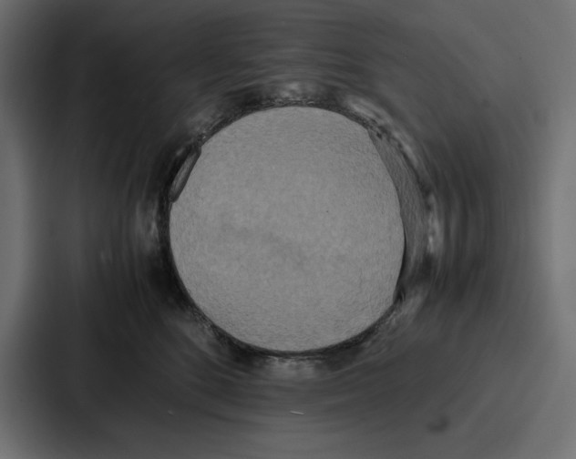X0000086740520200705111637