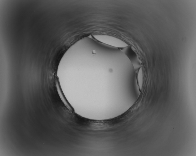 X0000086740521200705111637