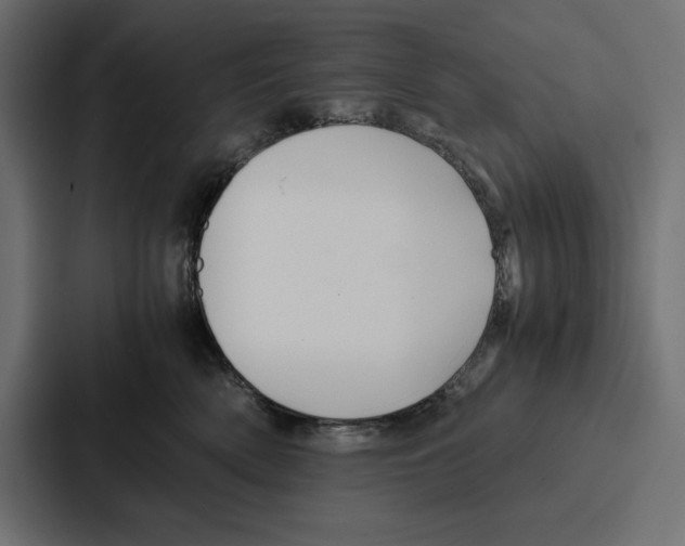 X0000086740522200705111637