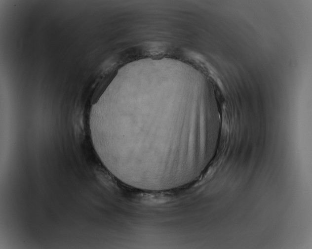 X0000086740524200705111637