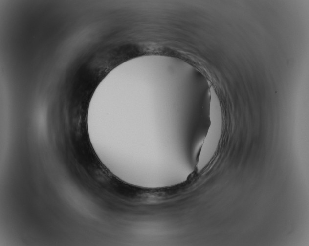 X0000086740525200705111637