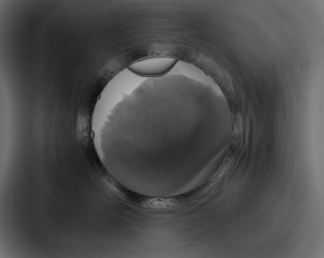 X0000086740526200705111637