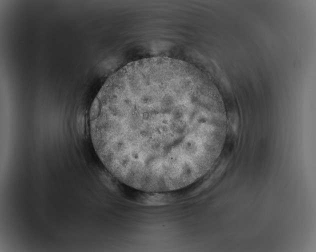X0000086740527200705111637