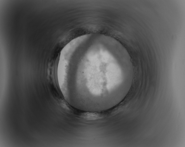 X0000086740528200705111637