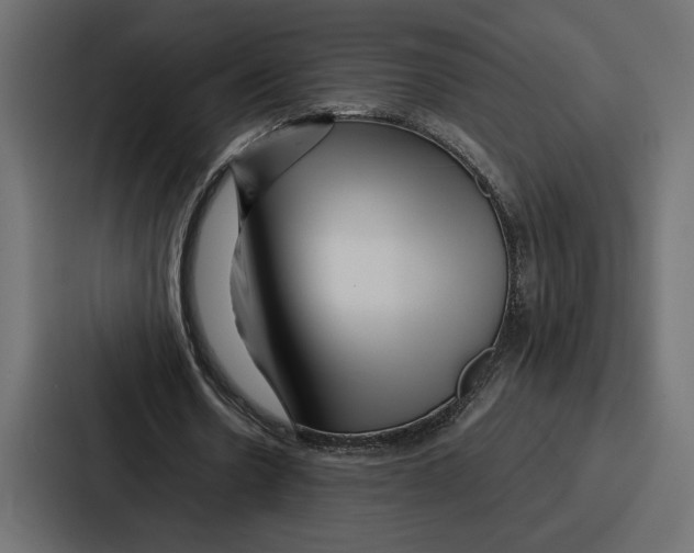 X0000086740530200705111637