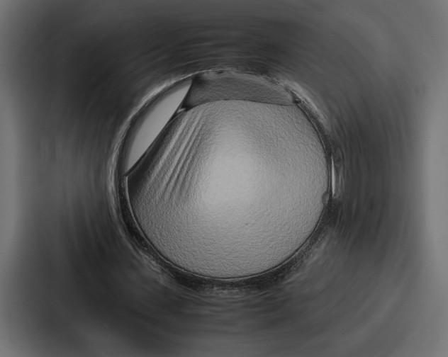 X0000086740531200705111637