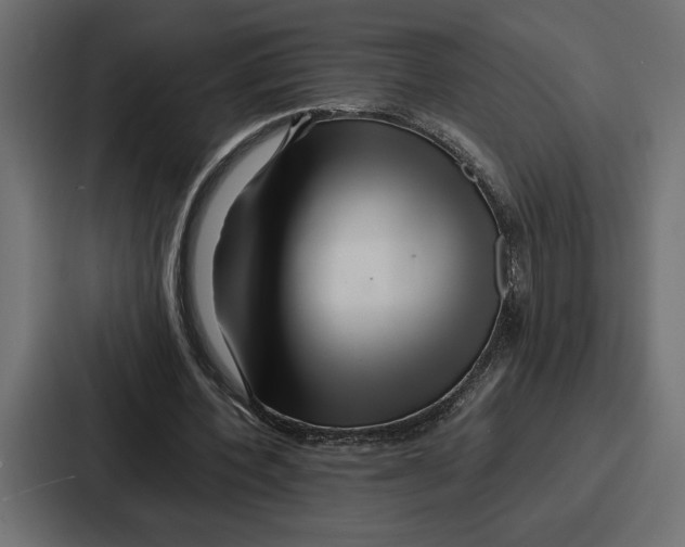 X0000086740532200705111637