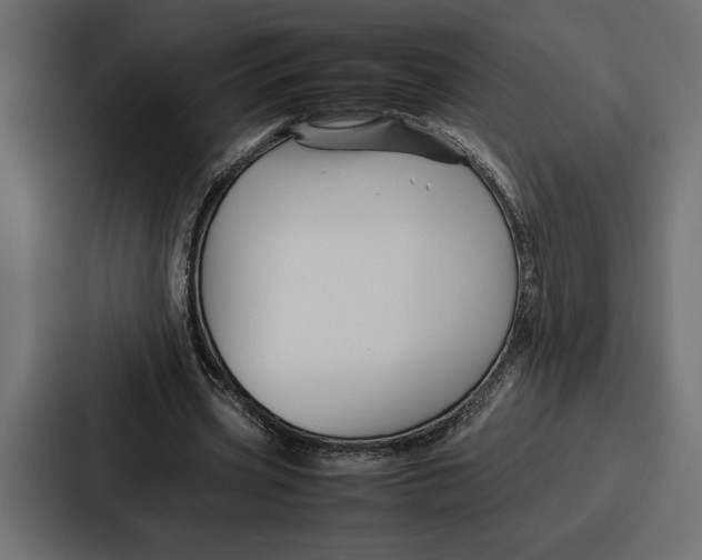 X0000086740533200705111637