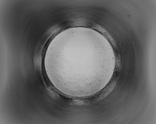 X0000086740534200705111637