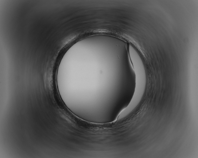 X0000086740535200705111637