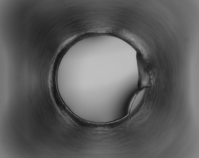 X0000086740536200705111637