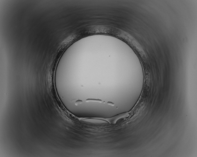 X0000086740537200705111637