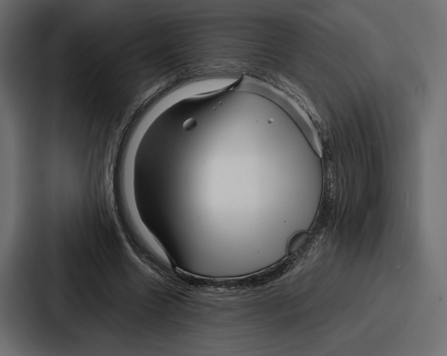 X0000086740538200705111637