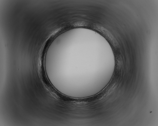 X0000086740539200705111637