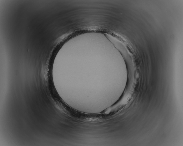 X0000086740540200705111637